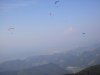 PARAGLIDING MALIC 6100005